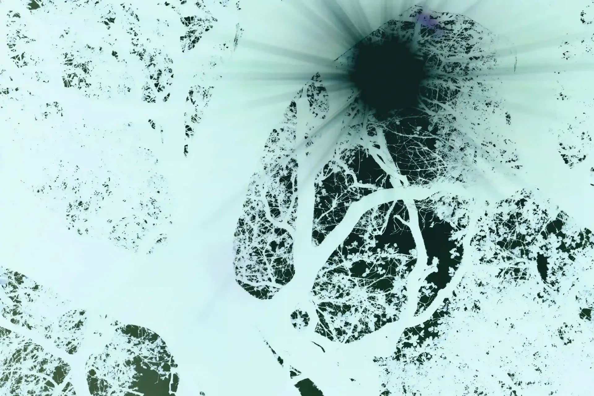 Artwork for I Thought I Saw an Angel