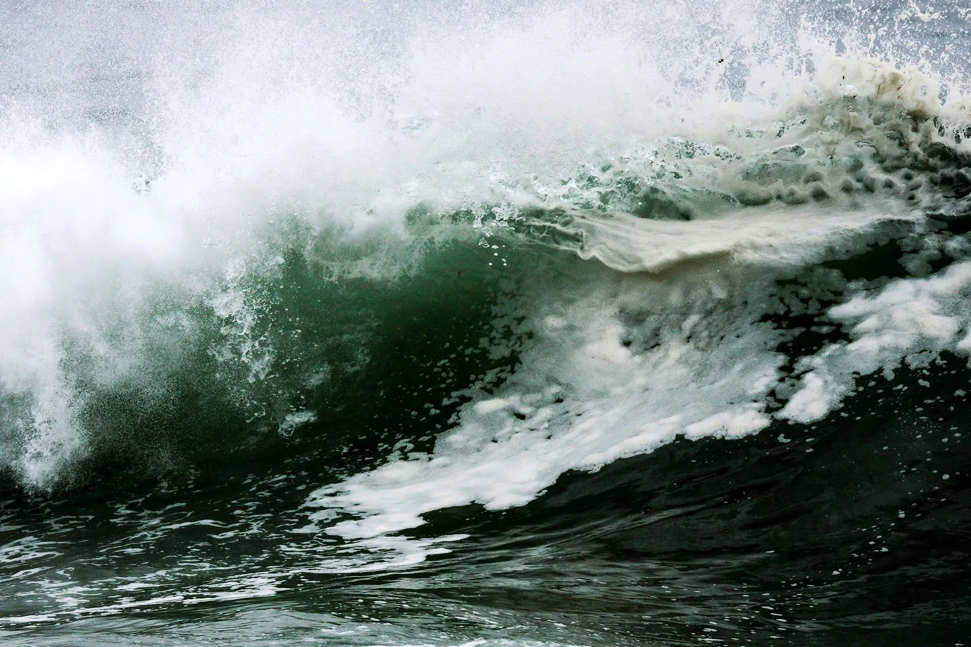 Artwork for How to Survive a Tsunami