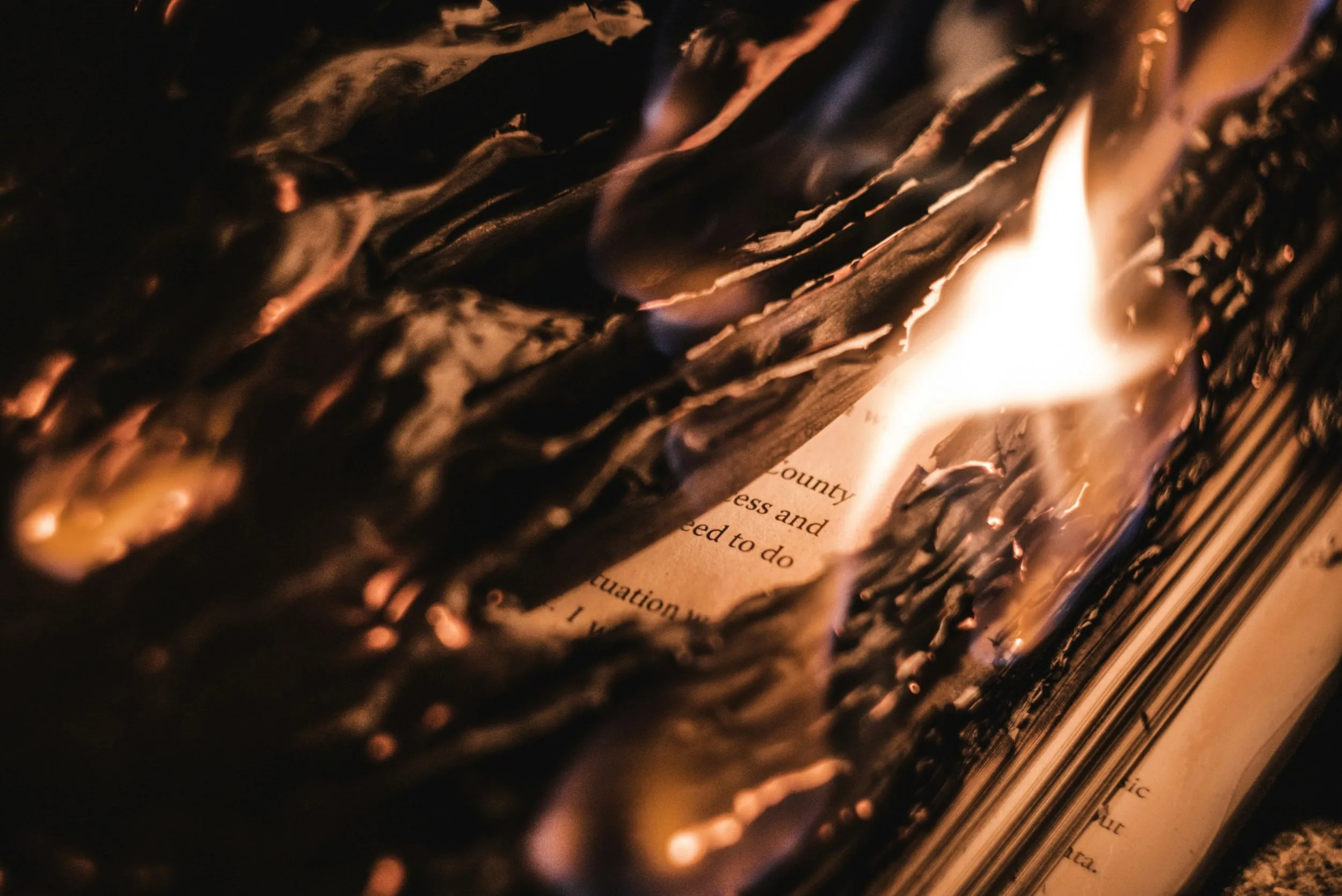 i mage: Brendan Stephens for Unsplash